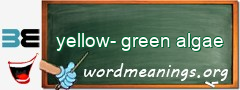 WordMeaning blackboard for yellow-green algae